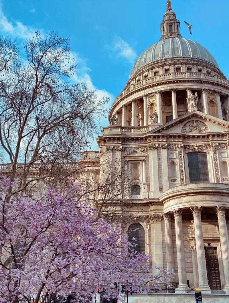 洛约拉马利蒙特大学